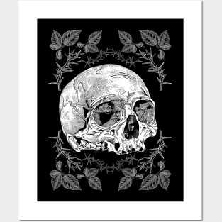 Skull Posters and Art